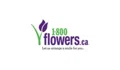 1-800-FLOWERS CA Coupons