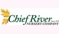 Chief River Nursery Coupons