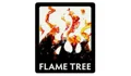 Flame Tree Publishing Coupons
